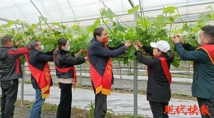 鹽城勞模愛心團(tuán)隊(duì) 科技助農(nóng)，護(hù)航春耕防疫“兩不誤”
